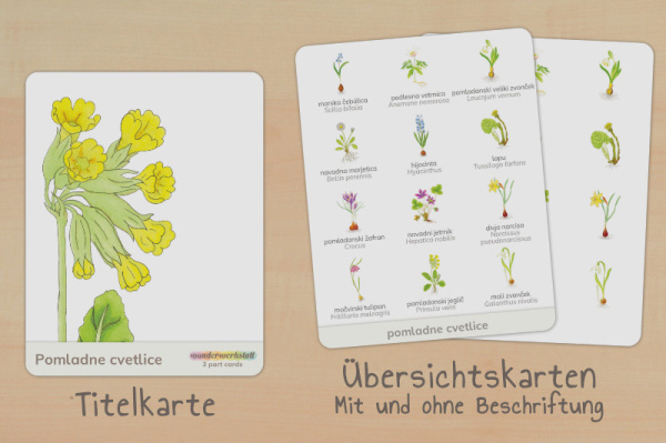 nomen_fruehblueher_slowenisch_titel_2
