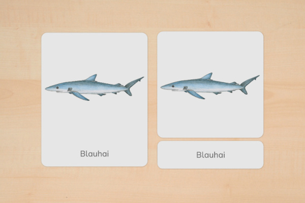 nomen_haie_download_2
