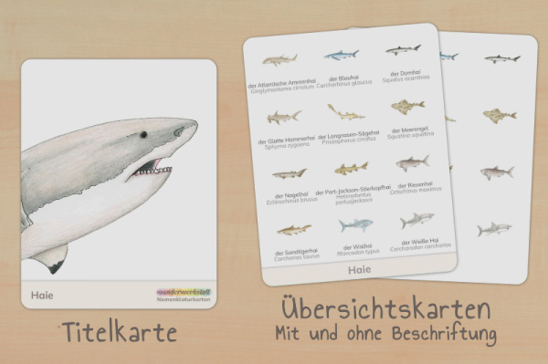 nomen_haie_download_titel_2