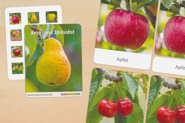 (Deutsch - Profidruck)