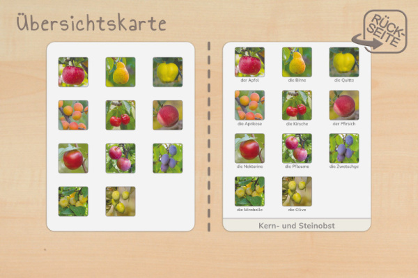 (Deutsch - Profidruck)