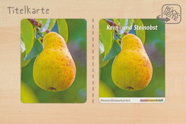 (Deutsch - Profidruck)