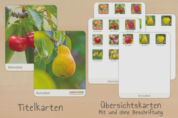 nomen_kern_stein_ue_1
