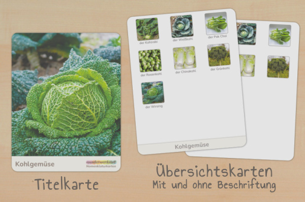 nomen_kohlgemuese_t3__4
