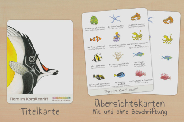 nomen_korallenriff_titel_2