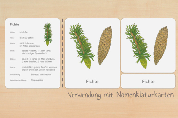 nomen_nadel_8