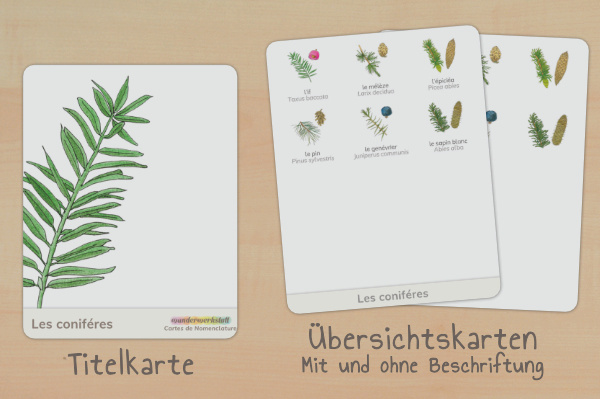 nomen_nadel_franz_titel_2