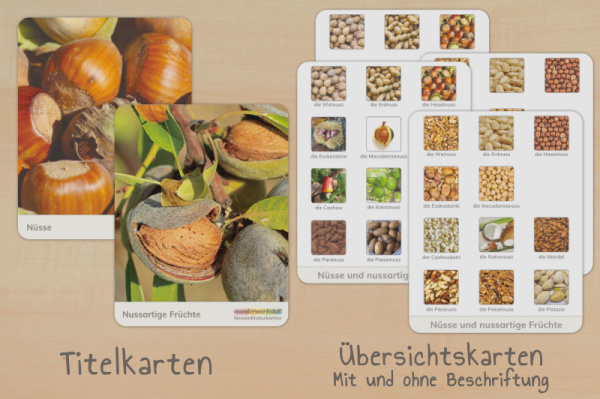 nomen_nuss_titel_x_1