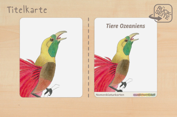 nomen_ozeanien_c