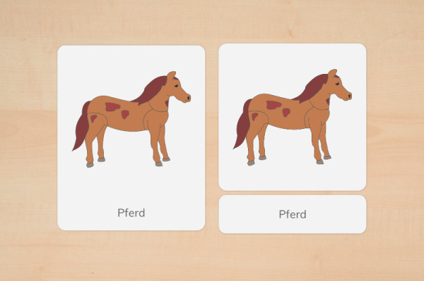 nomen_pferd_down_1