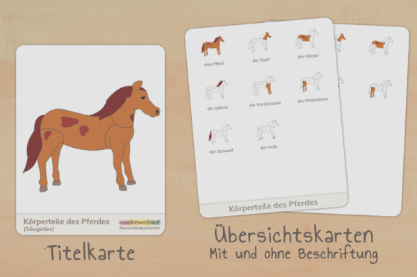 nomen_pferd_down__titel_2