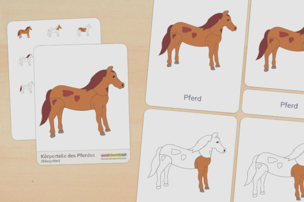 (Deutsch - Silbenschrift - Download)