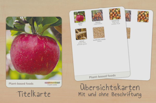 nomen_pflanz_leben_englisch_2