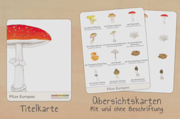 nomen_pilze_download_titel_2