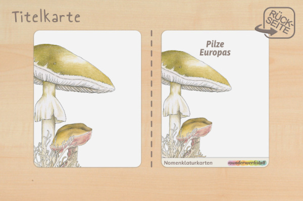 nomen_pilze_druck_g