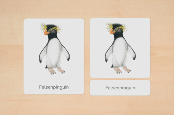 nomen_pinguine_download_2