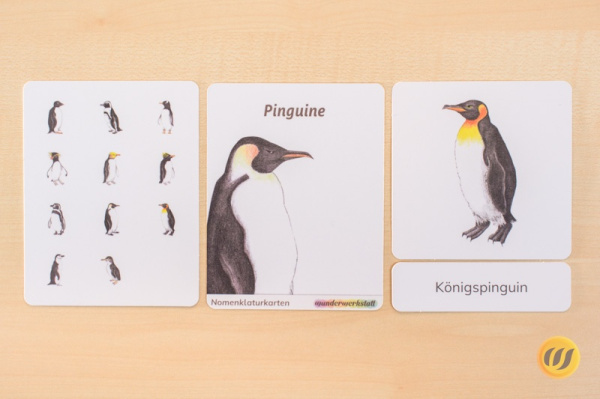 nomen_pinguine_druck2