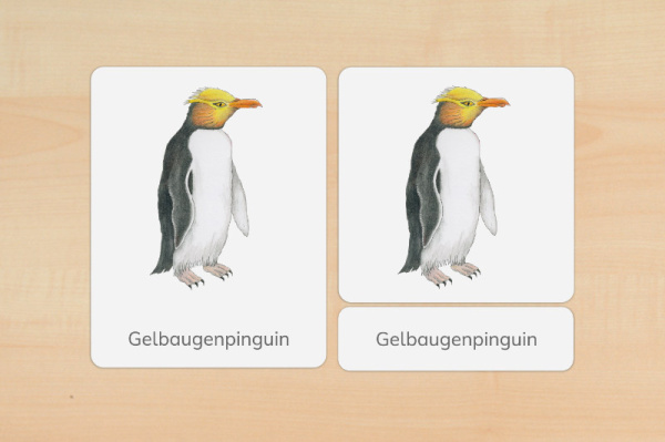 nomen_pinguine_druck_d
