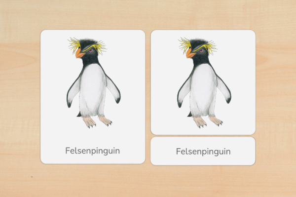 nomen_pinguine_druck_g