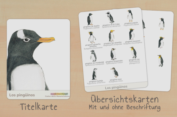 nomen_pinguine_spanisch_titel_2