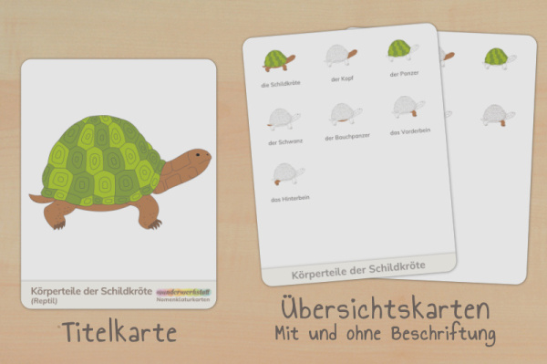nomen_schildi_down_titel_2