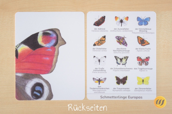 nomen_schmetter_druck6