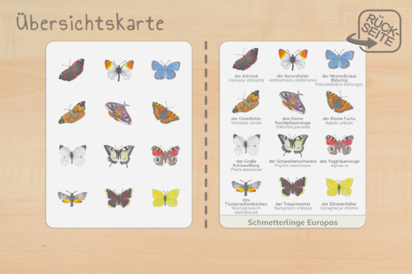nomen_schmetter_druck_b