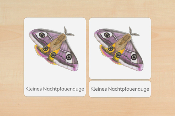 nomen_schmetter_druck_e