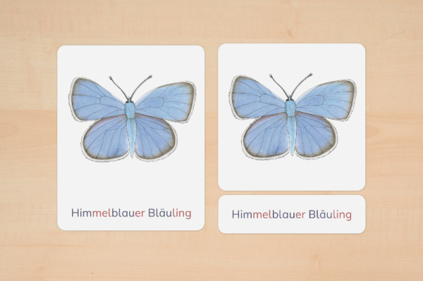 nomen_schmetterlinge_silben_1