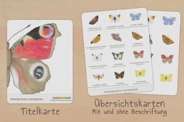 nomen_schmetterlinge_spanisch_titel_2