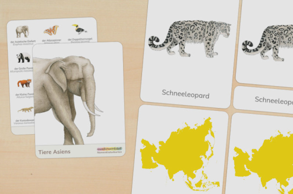 Download-Paket: Tiere Asiens