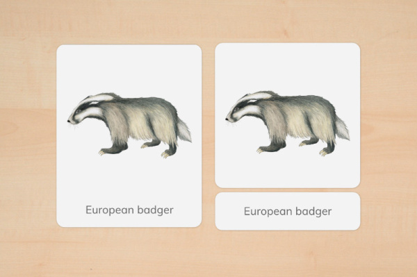 nomen_tiere_europa_englisch_3
