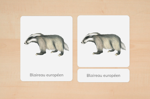 nomen_tiere_europa_franz_3