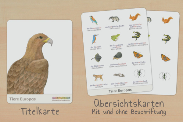 nomen_tiere_europa_silben_titel_2