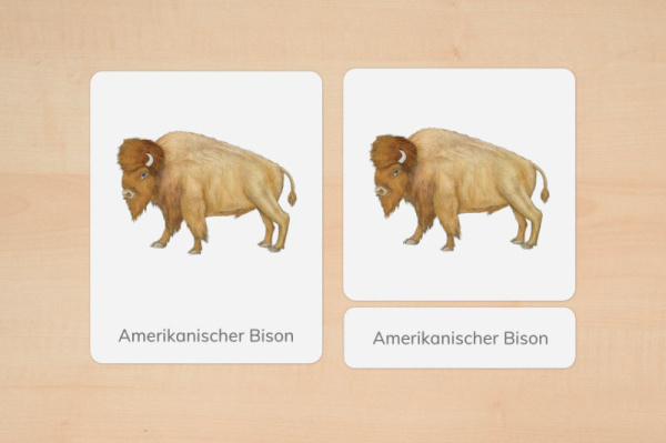 nomen_tiere_na_down_2
