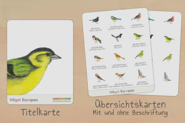 nomen_voegel_europa_silben_titel_2