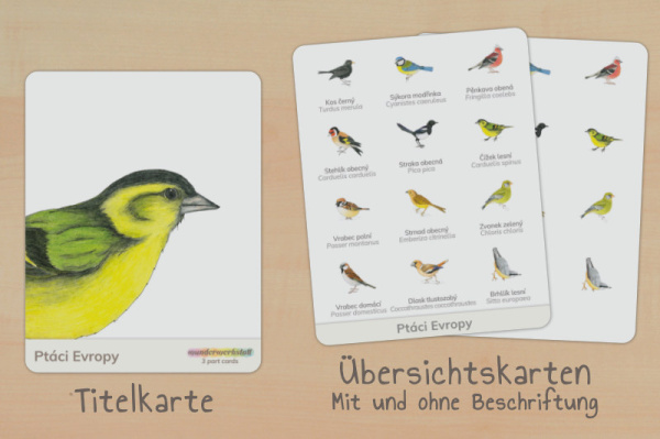nomen_voegel_europa_tschechisch_titel_2