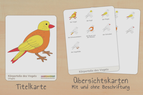 nomen_vogel_down_titel_2