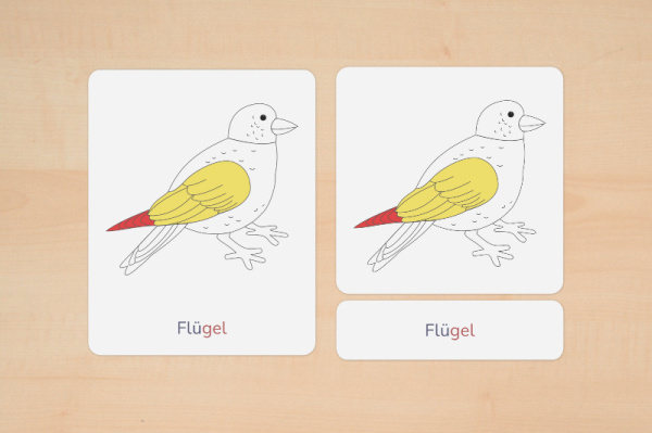 nomen_vogel_silben_3