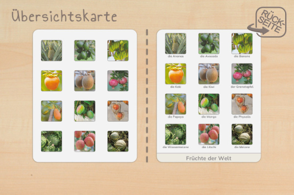 (Deutsch - Profidruck)