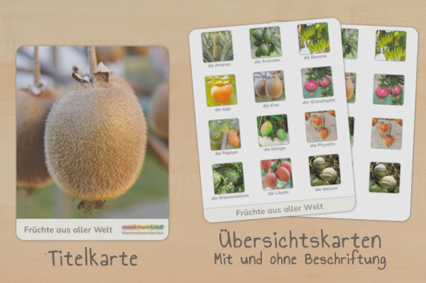 nomen_welt__2