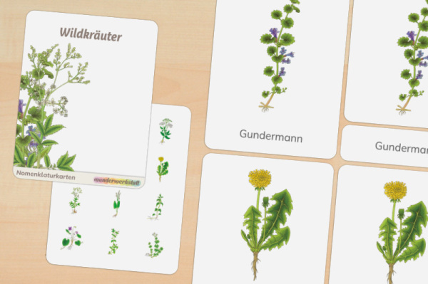 nomen_wild_druck_a
