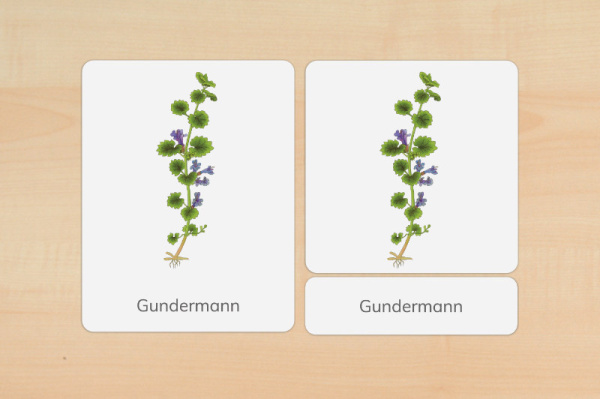 nomen_wild_druck_f
