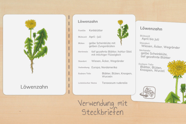 nomen_wild_druck_g