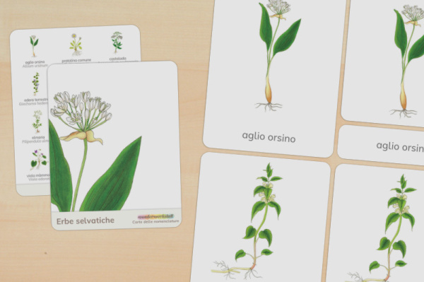 nomen_wildkraeuter_italienisch_titel_1