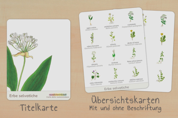 nomen_wildkraeuter_italienisch_titel_2
