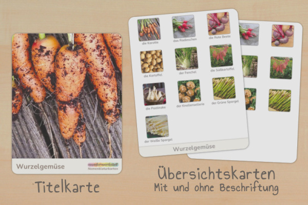 nomen_wurzelgemuese_t4__2