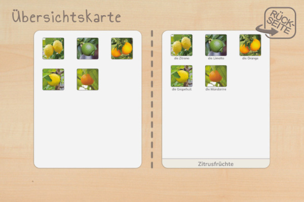 (Deutsch - Profidruck)