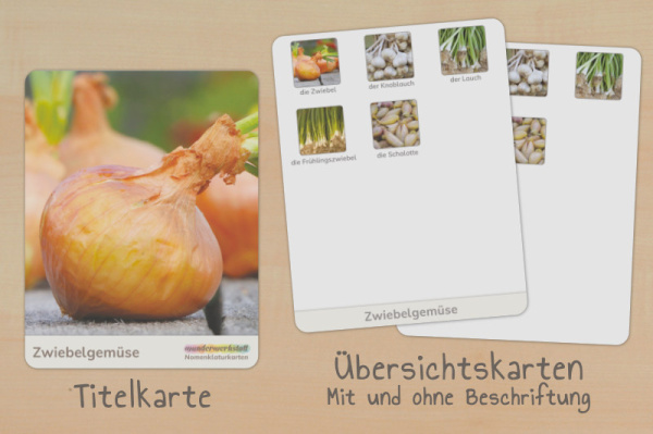 nomen_zwiebelgemuese_t4__4
