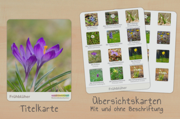 nomenklatur_fruebblueher_foto_titel_2